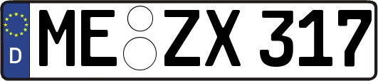 ME-ZX317