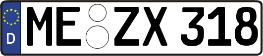 ME-ZX318