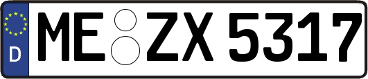 ME-ZX5317