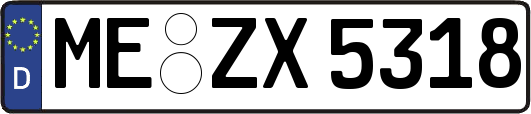 ME-ZX5318