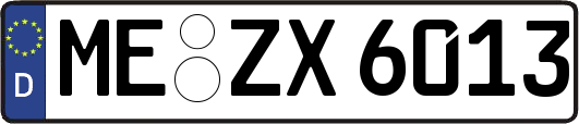 ME-ZX6013
