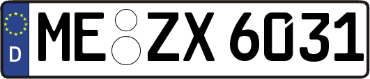 ME-ZX6031
