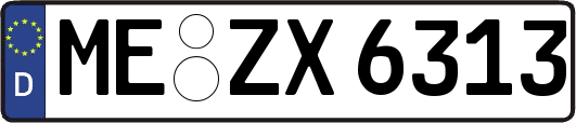 ME-ZX6313