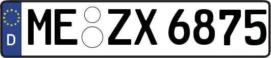 ME-ZX6875