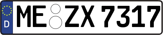 ME-ZX7317
