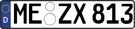 ME-ZX813