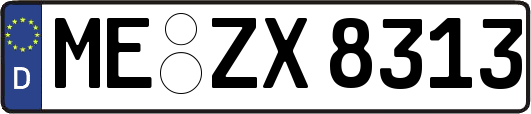 ME-ZX8313