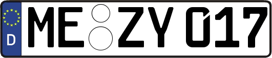 ME-ZY017