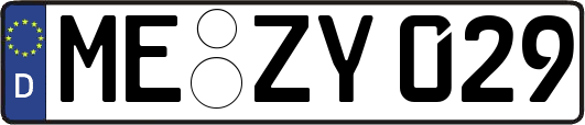 ME-ZY029