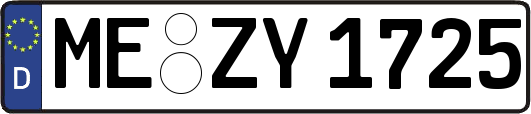 ME-ZY1725