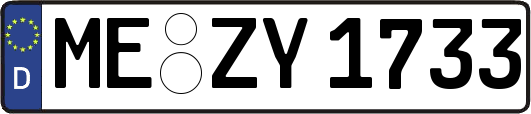 ME-ZY1733
