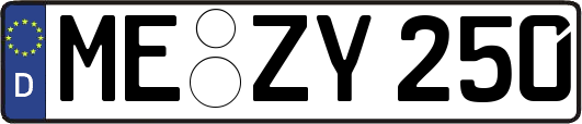 ME-ZY250