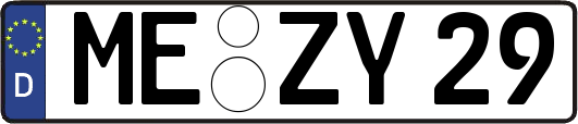 ME-ZY29