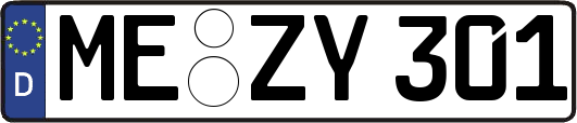 ME-ZY301