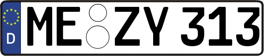 ME-ZY313