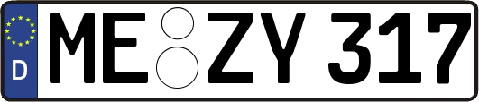 ME-ZY317
