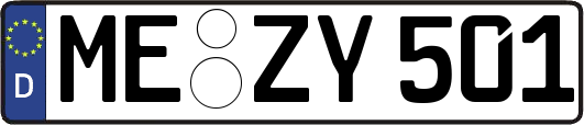 ME-ZY501