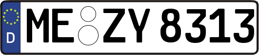 ME-ZY8313