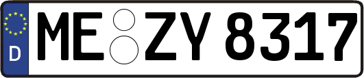 ME-ZY8317