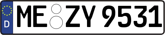 ME-ZY9531