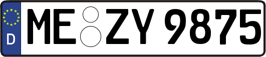 ME-ZY9875