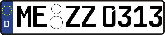 ME-ZZ0313