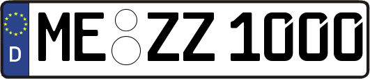 ME-ZZ1000