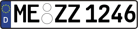 ME-ZZ1246