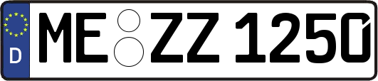 ME-ZZ1250