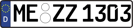 ME-ZZ1303