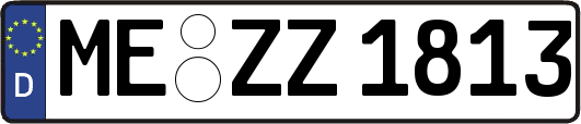 ME-ZZ1813