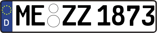 ME-ZZ1873