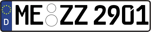 ME-ZZ2901