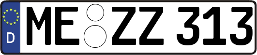 ME-ZZ313