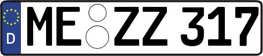 ME-ZZ317