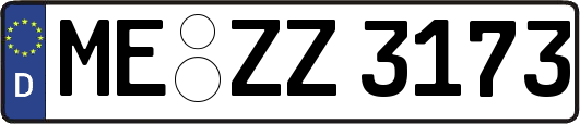 ME-ZZ3173