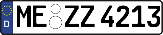 ME-ZZ4213