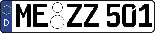 ME-ZZ501