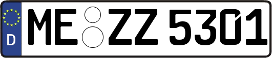 ME-ZZ5301