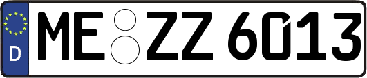 ME-ZZ6013