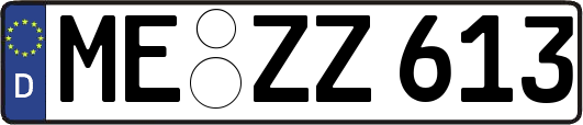 ME-ZZ613