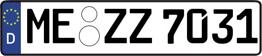 ME-ZZ7031