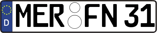MER-FN31