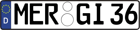 MER-GI36