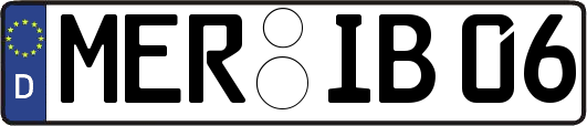 MER-IB06