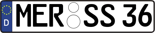 MER-SS36