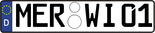 MER-WI01