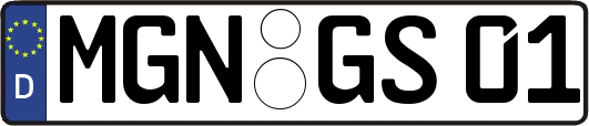 MGN-GS01