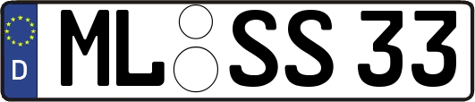ML-SS33