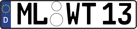 ML-WT13